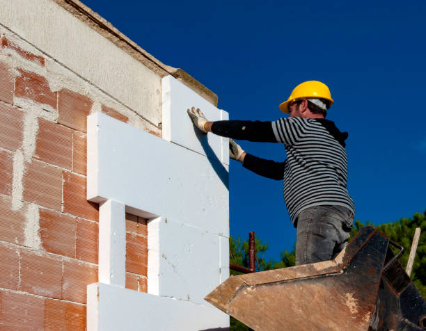 Best Specialized Insulation Services in Auburn, GA