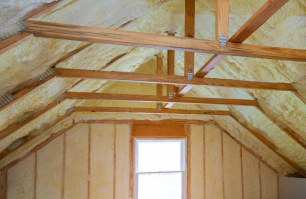 Best Insulation Maintenance and Repair in Auburn, GA