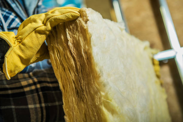Best Cellulose Insulation in Auburn, GA