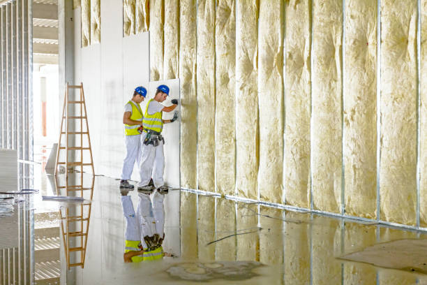Best Residential Insulation in Auburn, GA
